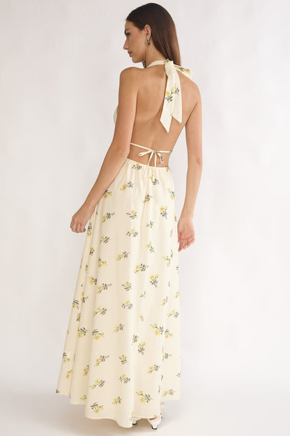 Delicate Maxi Dress