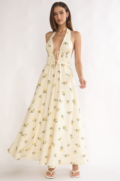Delicate Maxi Dress