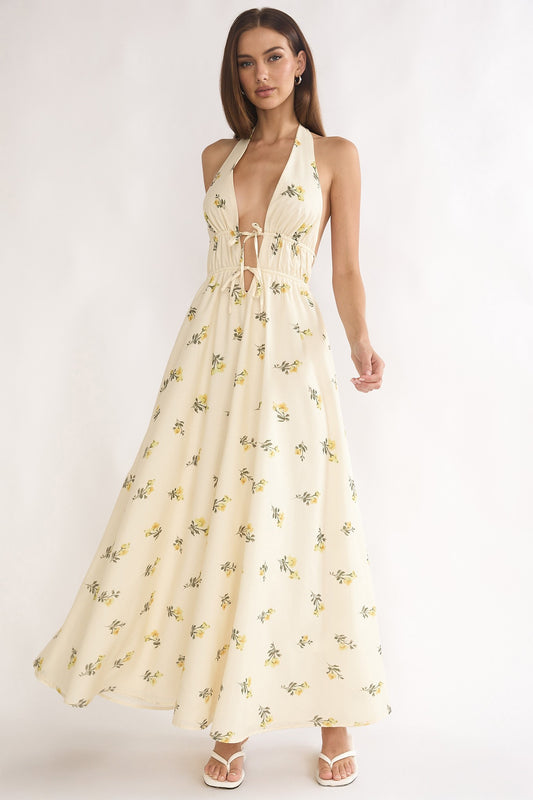Delicate Maxi Dress