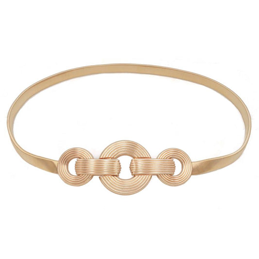Disc Belt