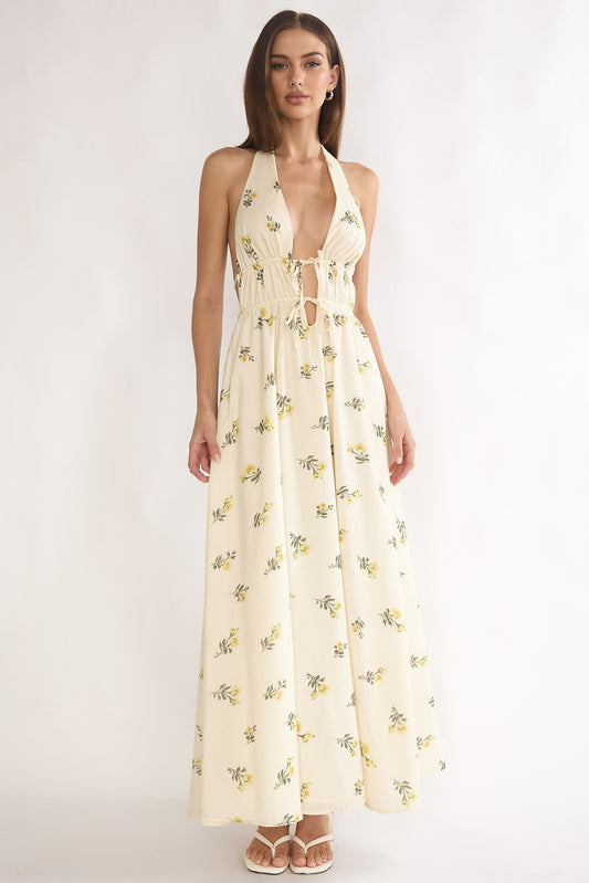 Delicate Maxi Dress
